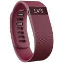 Fitbit Charge Large