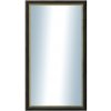 DANTIK - Zrkadlo v rámu, rozmer s rámom 50x90 cm z lišty Anversa čierna Au (3149)