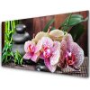 Skleneny obraz Bambus kamene zen kvety 100x50 cm