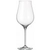 Crystal Bohemia Limosa 500 ml 6 ks