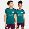 Nike PSG Strike SS Top Jr T-shirt FN9862-382 (199126) Sky Blue M (137-147)
