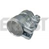 ERNST 223447