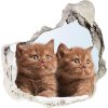 Fototapeta diera na stenu Mačky na uterák 75x75 cm