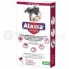 Ataxxa 1250 mg/250 mg (psy od 10 kg do 25 kg) sol 1x2,5 ml