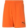 teamRise Short Jr 704943