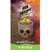 E-kniha Rok potopy - Margaret Atwood