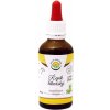 Salvia Paradise Řepík lékařský AF tinktura 50 ml