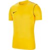 Nike Park 20 Junior BV6905 719