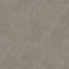 Gerflor Rigid 40 Lock Acoustic Carmel 0618 2,04 m²
