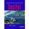 Sestřel - Walter Schuck - online doručenie