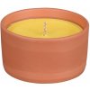 Nohel Garden citronella 11 cm