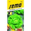 Šalát hlávkový jarný a jesenný FARAON 3803 0,60g SEMO