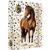 Box na zošity A4 Jumbo MAX JUNIOR S9 - Horse - kôň