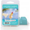 Country Candle vosk do aróma lampy Coconut Colada 64 g