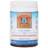 BALDACHÝNOVÁ KOMNATA - WEN DA WAN - TCM Herbs Objem: 100 tabliet / 30 g