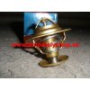 VW GOLF V Plus 01/05- termostat 1,9TDi-2,0TDi