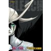 Bleach (3-in-1 Edition), Vol. 14