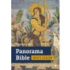 Panorama Bible Nový zákon - Stephen J. Binz
