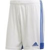 Pánske šortky Tastigo 19 M FI6355 Bielo-modrá - Adidas XL bílá/modrá
