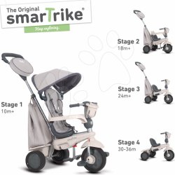 smart trike swing