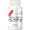 PENCO BETA ALANINE 120 kapsúl