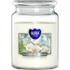 BISPOL Blooming Jasmine 500 g
