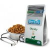 Farmina Vet Life dog obesity, fish 2 kg
