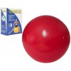 UNISON Gymnastická lopta 55cm rehabilitačná relaxačná