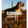 ESD GAMES ESD theHunter Call of the Wild Bloodhound