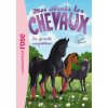 Mes amis les chevaux 2/La grande competition