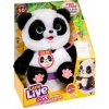 Little Live Pets: ChuChu, interaktív panda