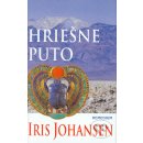 Hriešne puto - Iris Johansenová