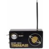 Widara Theremin