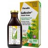 SALUS FLORADIX Gallexier pre zažívanie 250ml