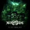 Heir Corpse One - Fly The Fiendish Skies / Vinyl [LP]