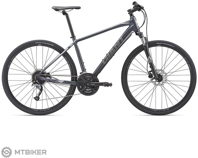 giant roam 2 disc charcoal 2019