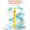 Stratená flauta pána Ananása - Marta Hlušíková