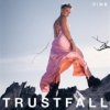 Pink - Trustfall LP