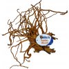 BioArt Spider Wood M 30-40 cm