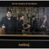 STYPKA DAVID - NEBOJ (1VINYL)