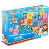 Paw Patrol Bingo!