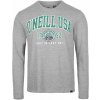 Pánske tričko s dlhým rukávom O'Neill, STATE L/SLV T-SHIRT sivá,zelená L