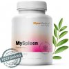 MycoMedica MySpleen - podpora sleziny 90 kapsúl