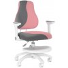 Detská rastúca stolička Neoseat KINDER WHITE PLUS — látka, šedá / svetlo ružová
