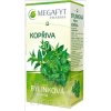 MEGAFYT Bylinková lekáreň ŽÍHĽAVA 20x1,5 g