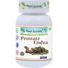 Prostate Endza zdravá prostata a močenie 500 mg 60 kapsúl