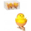 Veľkonočné kuriatka v polovici vajíčka – sada 6 ks s klipom
