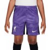 Nike | LFC Y NK DF STAD SHORT 3RD 2023/24 | fialová| S(128-137cm)