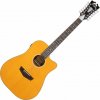 D'Angelico Premier Lexington