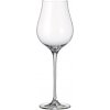 Crystalite Bohemia pohár na biele víno Limosa 250 ml 6KS